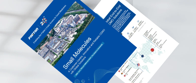 Small Molecule CDMO Services