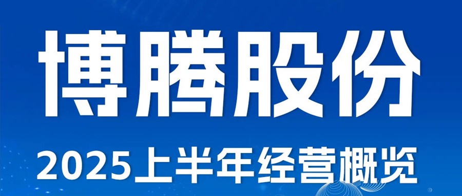 2025上半年经营概览