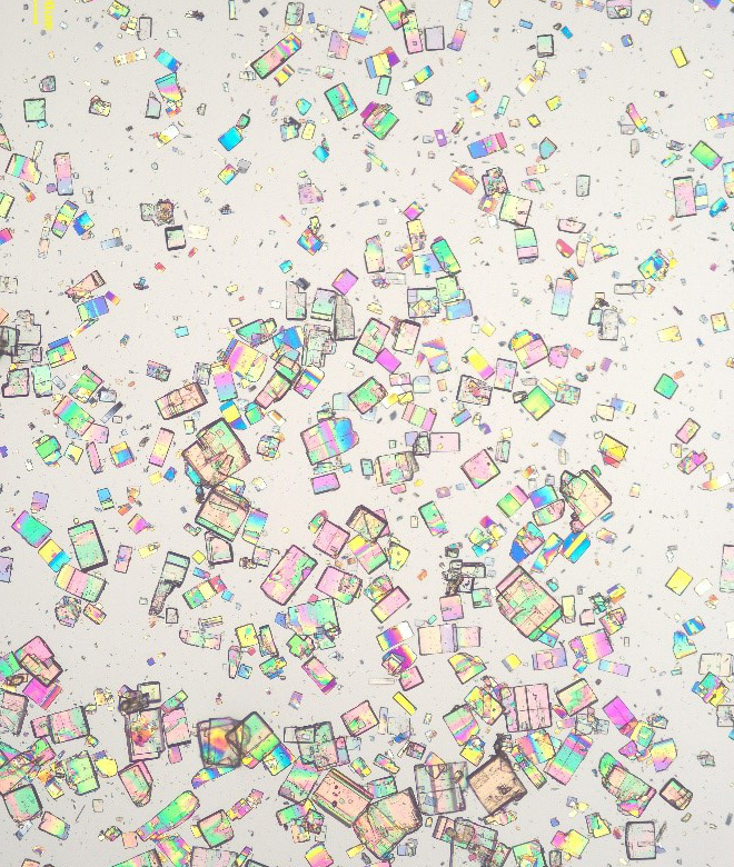 Porton Crystallization